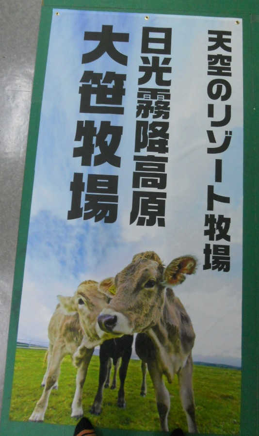 ポリエステル布ポスター(シースルクロス)